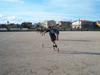thumb_100_0911.jpg